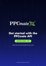 API PDF cover